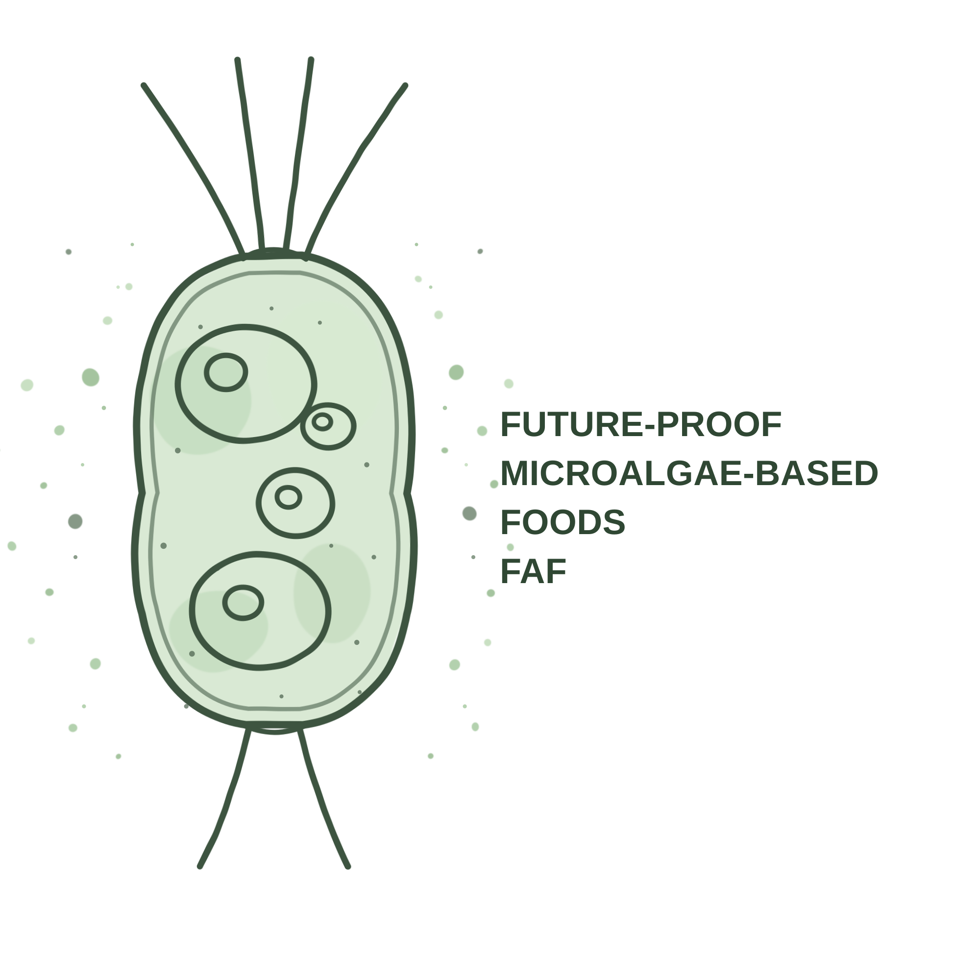 FAF logo: a watercolour illustration of the microalga Tetraselmis chuii beside the project wordmark